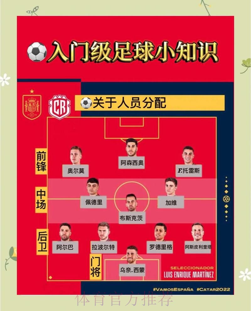 全面解读世界杯比分安全全站